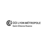 cci lyn@2x